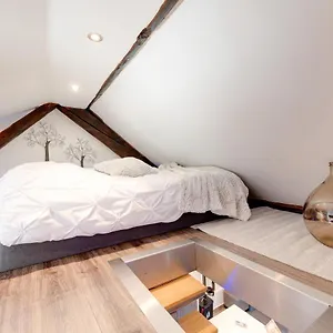 Le DUPLEX atypique et superbe Annecy
