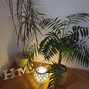 Appartement Lav, Zadar